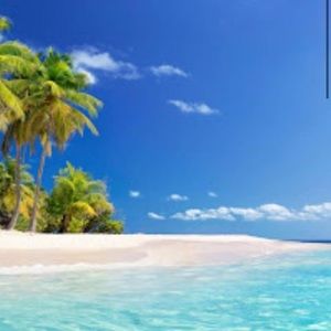 Meet your Posher, Lau